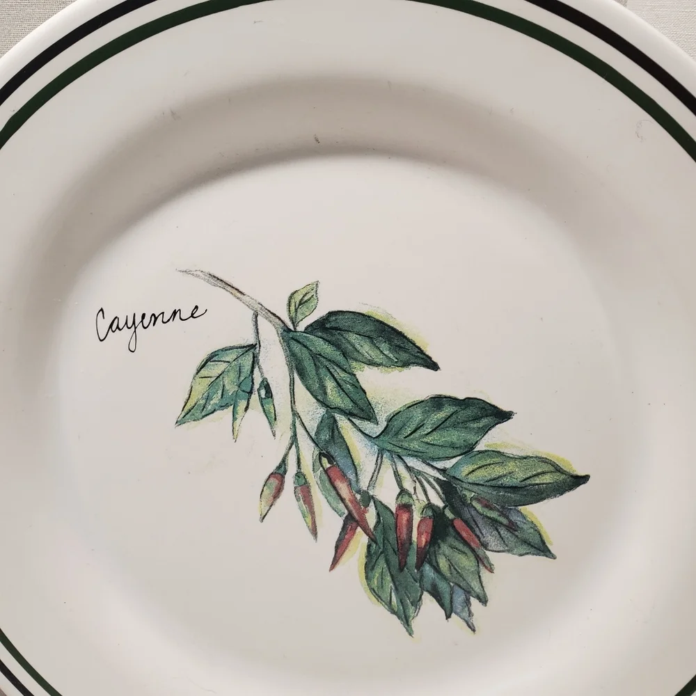 2 Williams Sonoma 8 1/4
